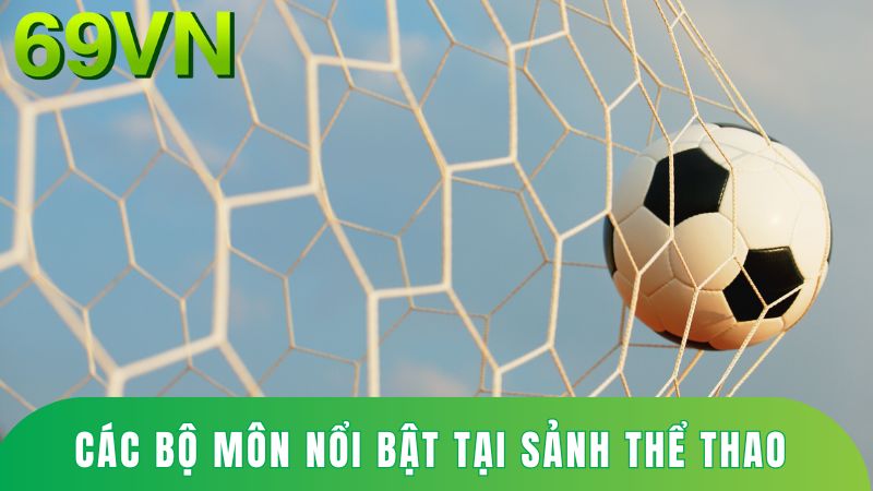 Các loại hình nổi bật