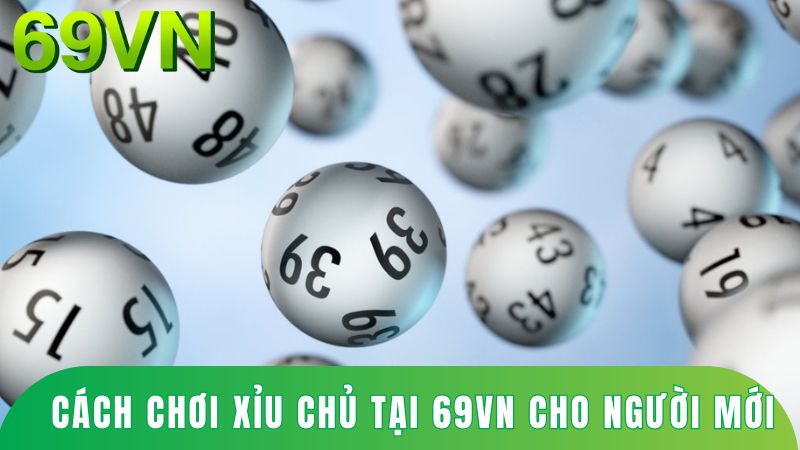 cách chơi Xỉu Chủ tại 69VN cho người mới