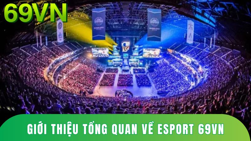 Đôi nét về sảnh game